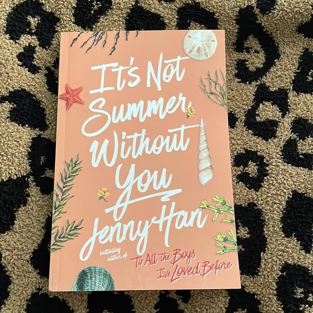 It’s Not Summer Without You book